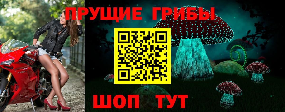 Галлюциногенные грибы мухоморы Калач-на-Дону